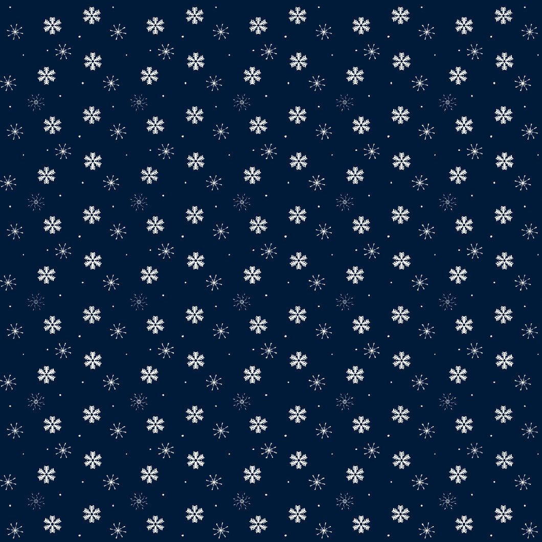 POIGNÉE FLOCONS DE NEIGE