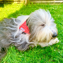 Charger l&#39;image dans la galerie, BANDANA SCARLETT
